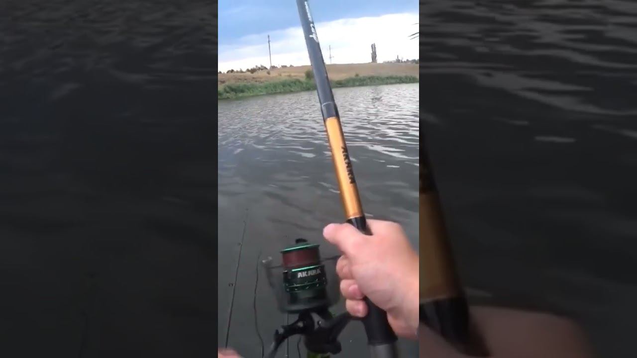 Рыбалка на донки #fishing #карась #рыбалка смотреть онлайн