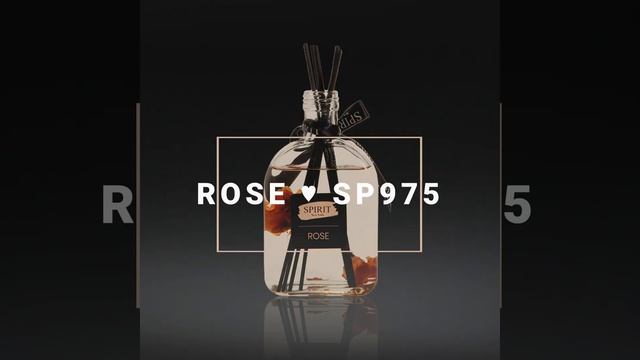 ROSE # SP975 רוז מפיץ ריח מעוטר בפרח הורד