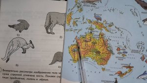 ВПР Окружающий мир 4 класс 2025 год, вариант 8 из 25