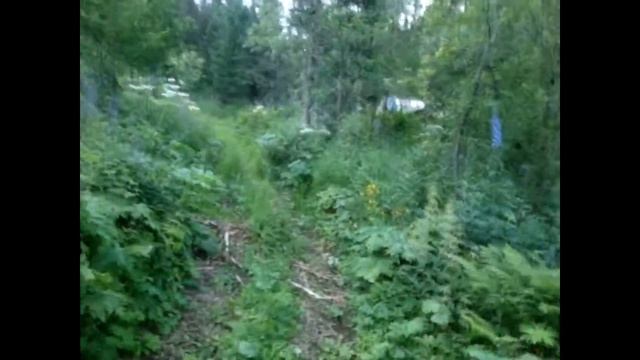 Ещё одна избушка в тайге летом 20го. смотреть онлайн