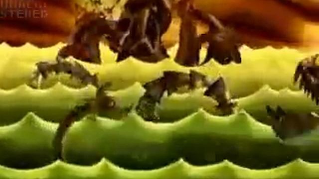 Flapjack Theme Song смотреть онлайн