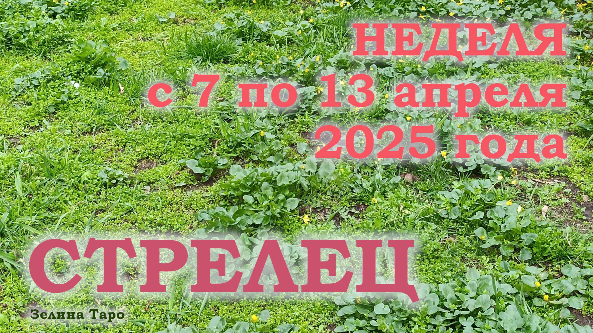 СТРЕЛЕЦ | ТАРО прогноз на неделю с 7 по 13 апреля 2025 года