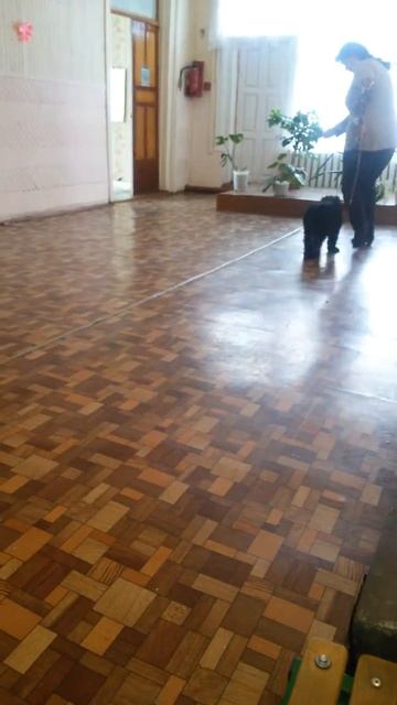 Сибирский Медведь Жизнеслав смотреть онлайн