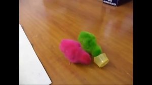 Песня цыплёнок пи