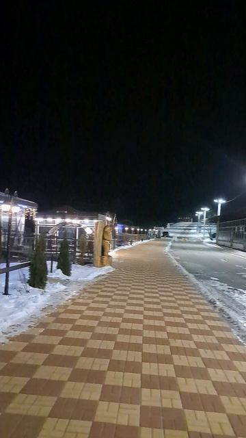 #Воронеж #Набережная1 #набережнаяворонежа #набережнаявновыйгод