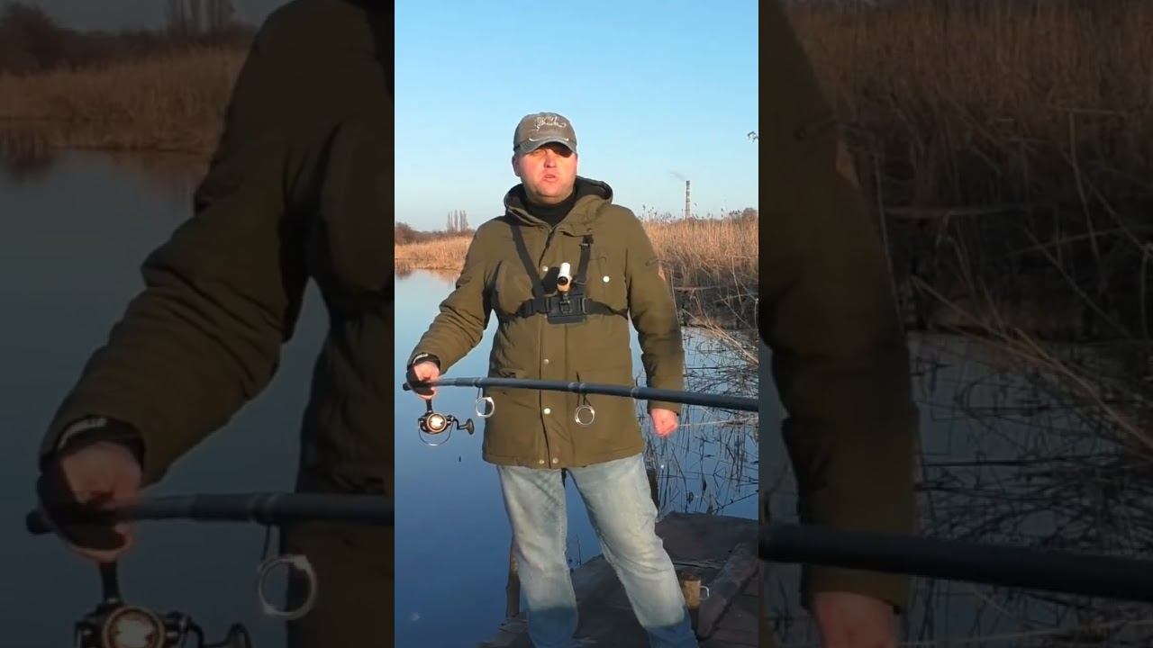 Карповое удилище Akara Geden Carp #рыбалка #карповаяловля #карпфишинг #shorts смотреть онлайн