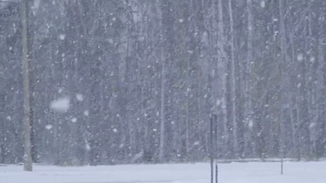 Зима в Академгородке смотреть онлайн