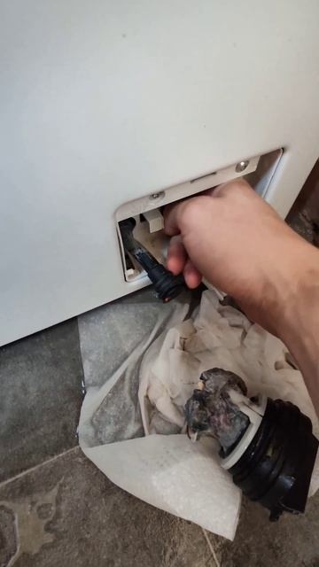 drain pump lottery, let's see what's lurking #shorts #washingmachine #repair #diy #bosch смотреть онлайн