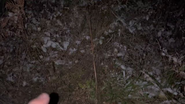 ВЛОГ ИЩЕМ ЙЕТИ (не распространяйте, это секретно) (feat. мутный)