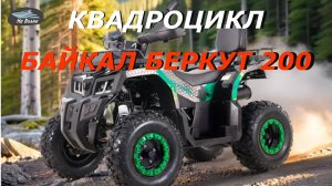 Квадроцикл Байкал Беркут 200