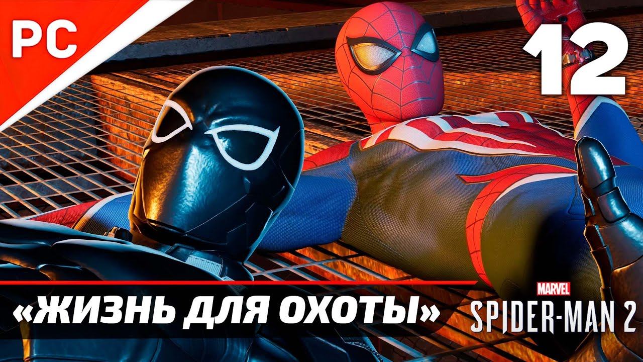 «ЖИЗНЬ ДЛЯ ОХОТЫ» ✪ Прохождение Marvel's Spider-Man 2 на ПК — Часть 12 (РУССКАЯ ОЗВУЧКА) «NG+» смотреть онлайн