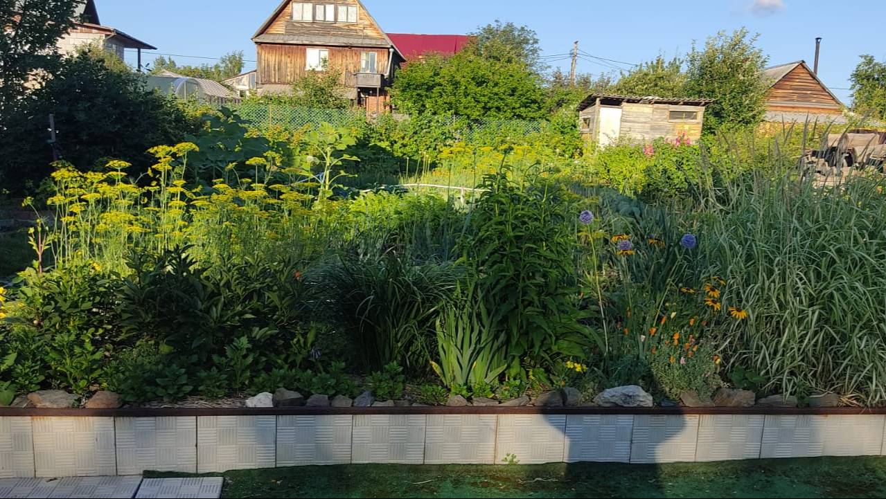 Мой дачный участок смотреть онлайн