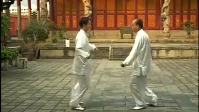 Fundamental Exercises. Fukien Wing Chun White Crane Style