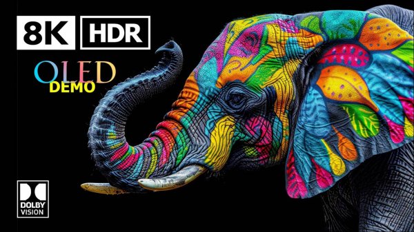 САМОЕ ПОТРЯСАЮЩЕЕ ВИДЕО 8K ULTRA HD 240 КАДРОВ – Dolby Vision (8K HDR)