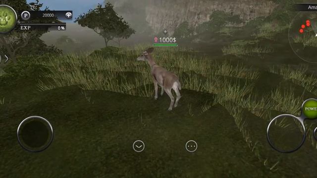 Играю за животными В мире (Опасных Животных) смотреть онлайн