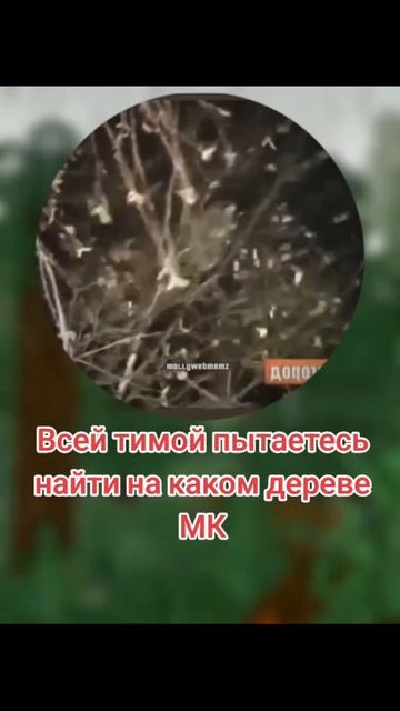 #дота #дота2 #дотамемы #рекомендации #дота2мемы ##дота2приколы #dota2 #дота2приколы #dotawtfmoments смотреть онлайн