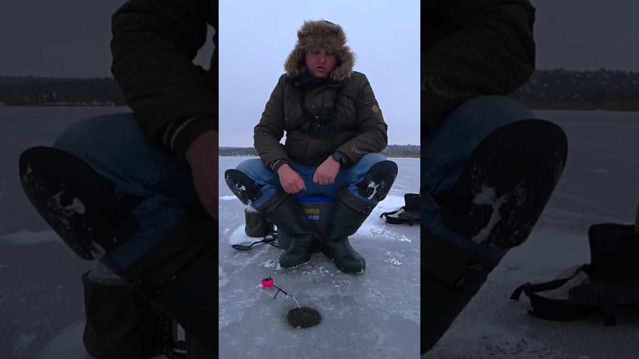 Рыбалка на плотву #рыбалка #зимняяловлярыбы #плотва #shorts смотреть онлайн