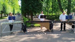 Виброфон, маримба и ксилофон в парке Петергофа. Санкт-Петербург, июль 2024
