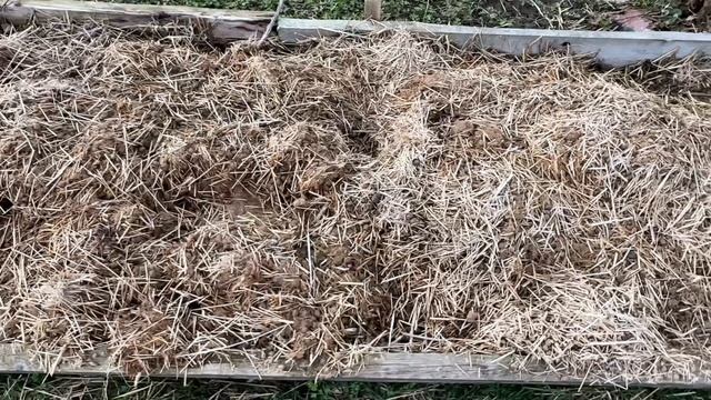 ОБУСТРОЙСТВО УЧАСТКА | Обзор участка