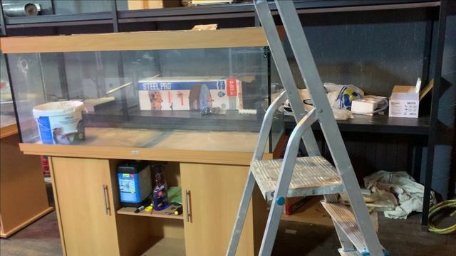 Пруд в гараже.Стойка аквариумная.Дискусы в пруду смотреть онлайн