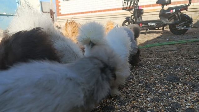 Ольга Соловьева