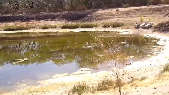 DEATH Of A Pond- The LOSS of A GREAT Fishing Hole смотреть онлайн