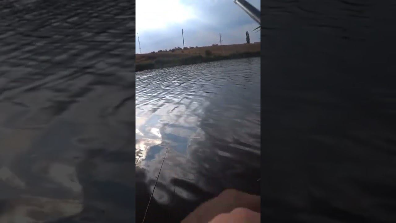 Вот так зацепился #fishing #карась #рыбалка смотреть онлайн
