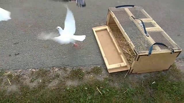 Другий випуск 20км смотреть онлайн