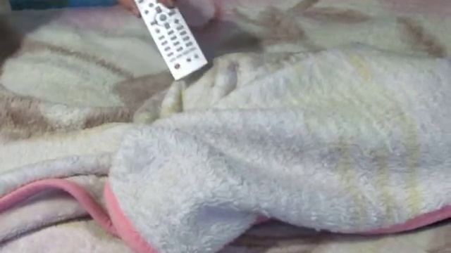 Кошачья одержимость. смотреть онлайн