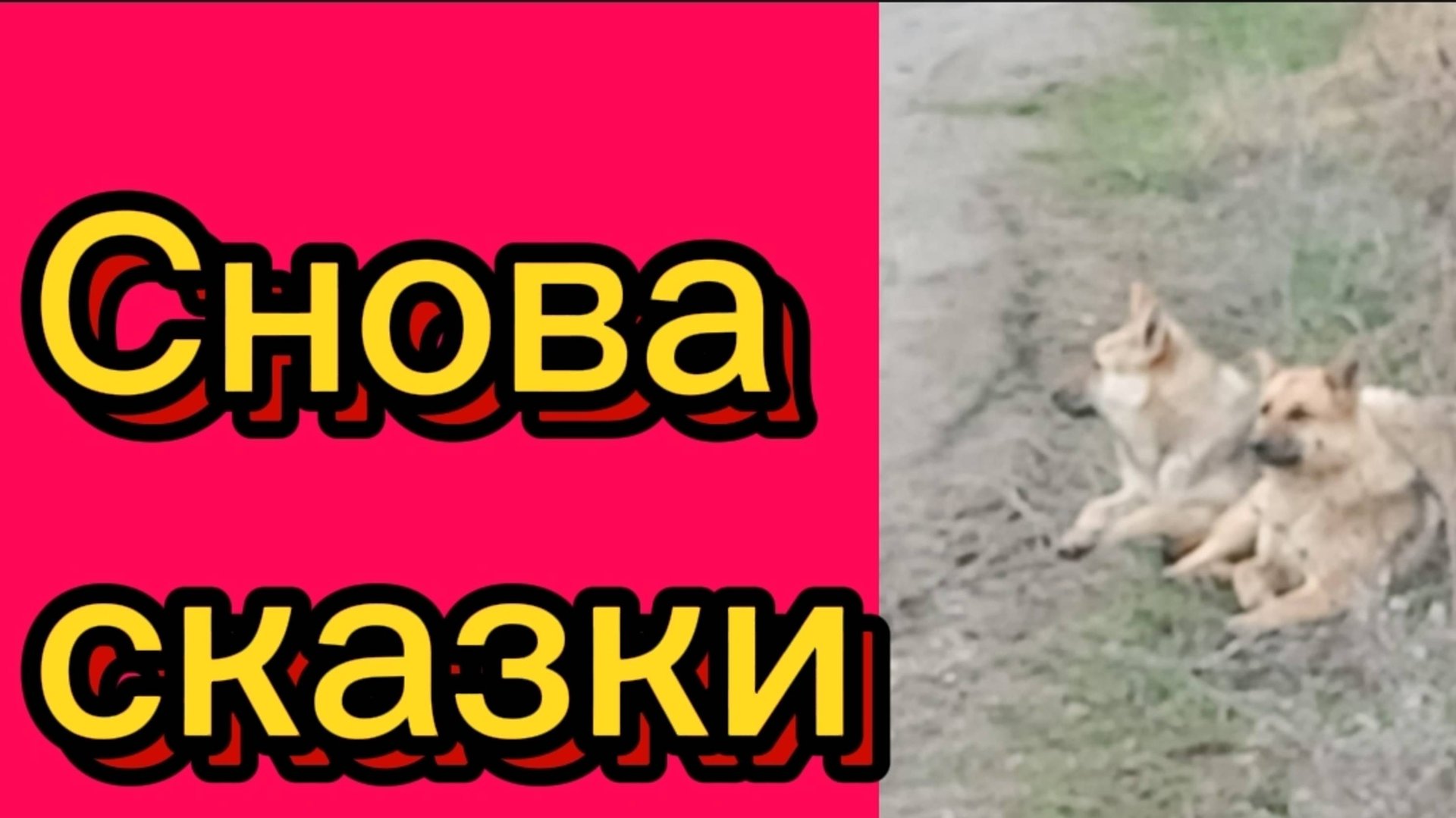 ДЕРЕВЕНСКИЙ ДНЕВНИК. "ЛОШАДИ И КЛЯЧА" смотреть онлайн