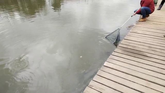 Основной водоем смотреть онлайн