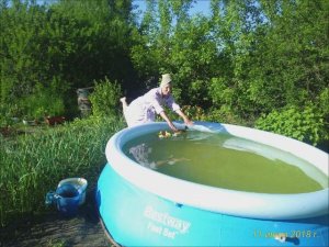 скоро, скоро лето ...