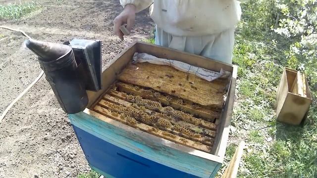 Полное расширение смотреть онлайн