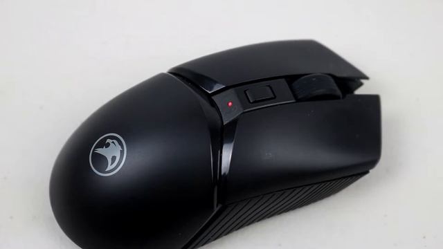 Panther Quasar Prime Review - Best Budget Wireless Gaming Mouse! (TAGALOG) смотреть онлайн