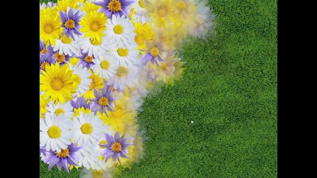 Advis Effect: Flower Trail смотреть онлайн