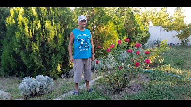 корабел44 смотреть онлайн