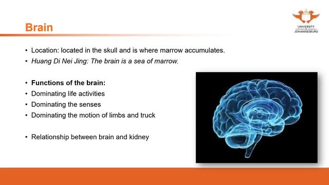 145. UJ online lectures:Basic theory 18 Zang Xiang Theory 9 Extraordinary Organs смотреть онлайн