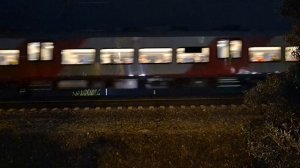 сборник ласточек (поезда)