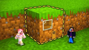 🏠МЫ ПОСТРОИЛИ САМЫЙ МАЛЕНЬКИЙ ДОМ В МАЙНКРАФТ! ШЕДИ И ЛЕСКА MINECRAFT