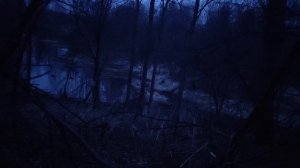 весенняя охота с подсадной 2025