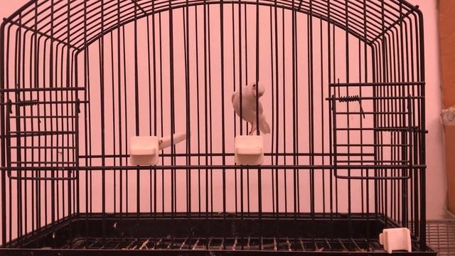 No comment! смотреть онлайн