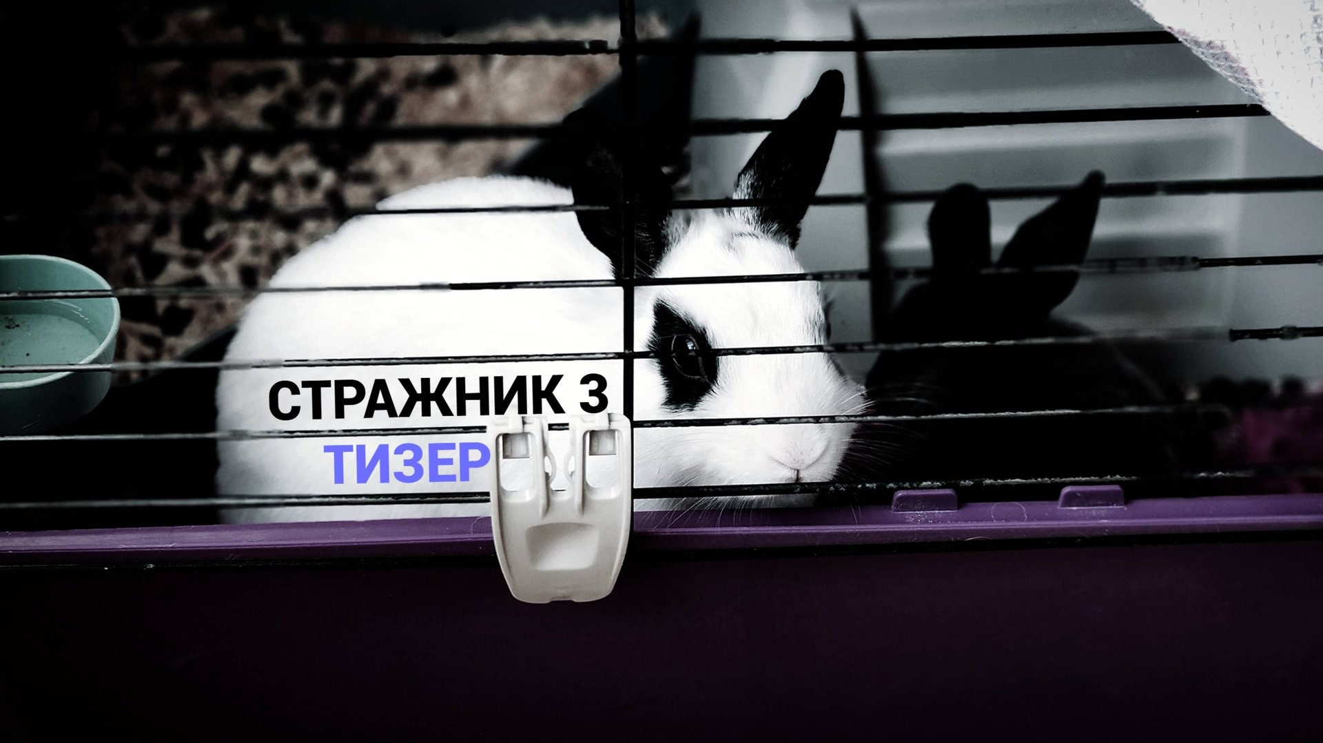 СТРАЖНИК 3 ТИЗЕР