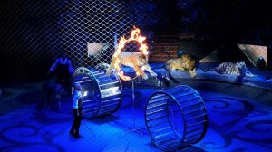 Большой Московский Цирк на проспекте Вернадского и100рия: лучшие моменты и братья Запашные