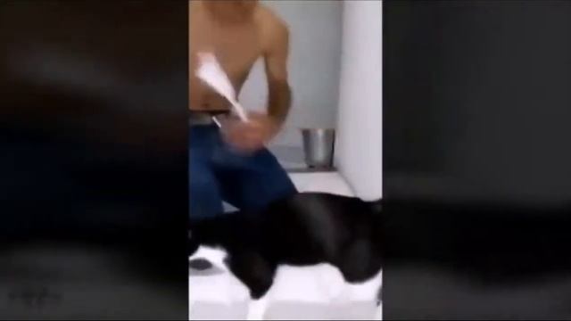 Подборка приколов за май 2015 смотреть онлайн