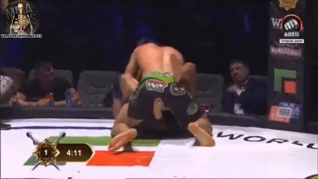 Celso Ricardo da Silva vs Магомед Анкалаев смотреть онлайн