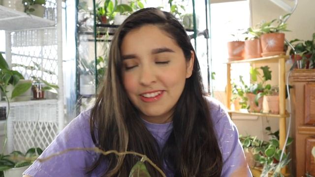 RARE *actually* Hoya Plant Unboxing! | ThePlantNurse Etsy Review смотреть онлайн