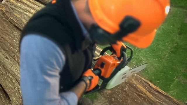 STIHL Motoferastraie TV 2017