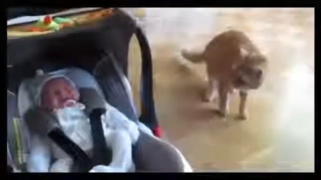Котэ испугался малыша смотреть онлайн