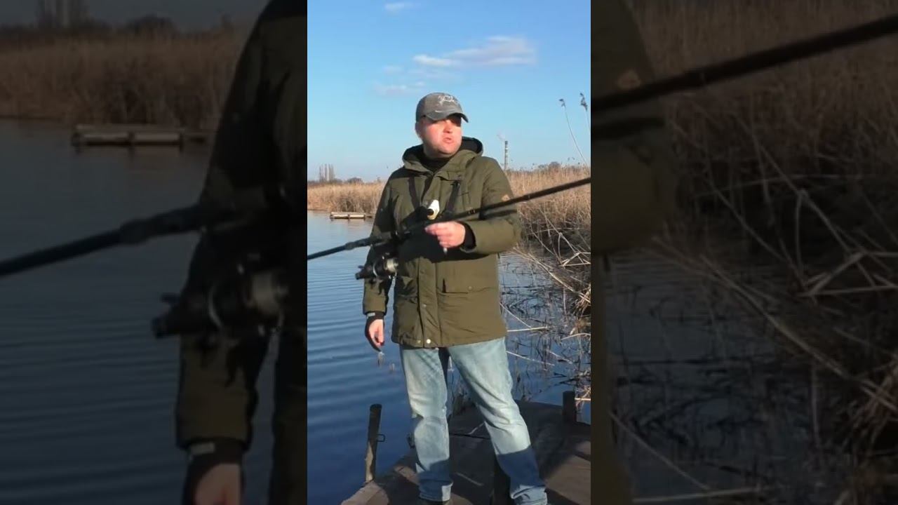 Обзор Salmo Sniper Carp #рыбалка #карповаярыбалка #карпфишинг #shorts смотреть онлайн
