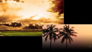 01. Wise hand_ Nouri - Safi